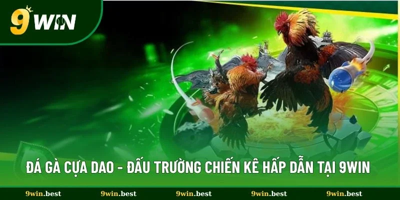 Đá Gà Cựa Dao - Đấu Trường Chiến Kê Hấp Dẫn Nhất Tại 9win